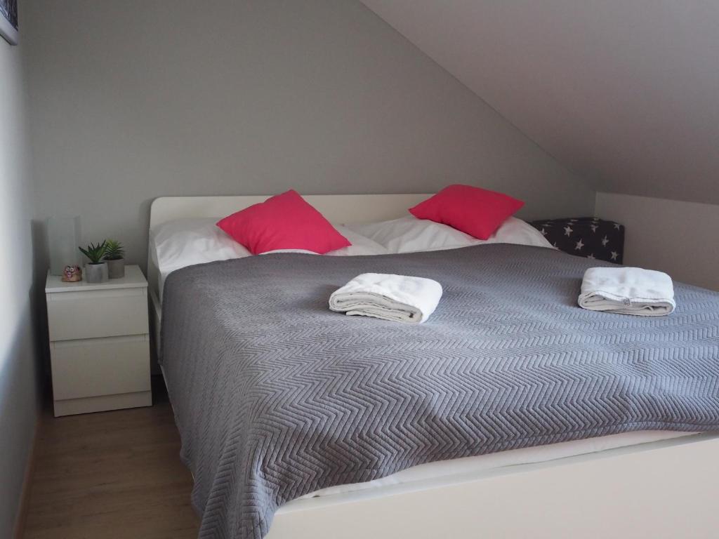 Postel nebo postele na pokoji v ubytování Dolní Morava - Apartmány