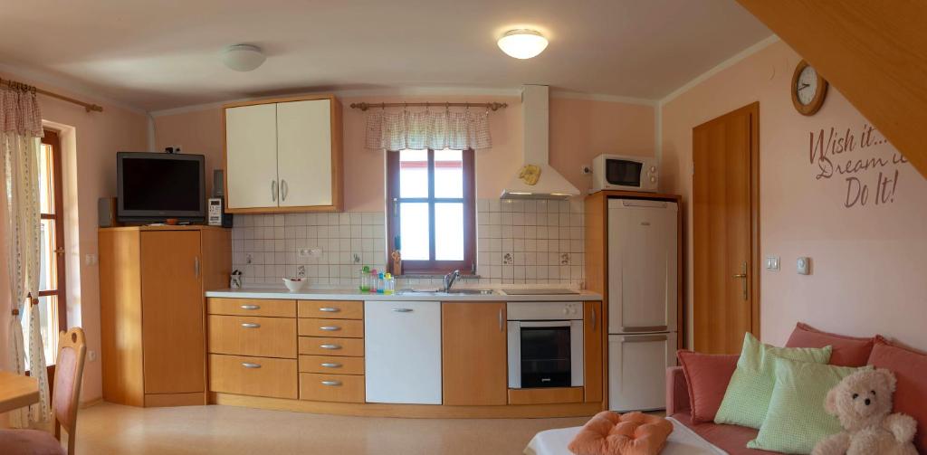 Kuchyň nebo kuchyňský kout v ubytování PLANINCA -hiša z razgledom