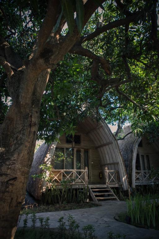 Flowers & Fire Yoga Garden - 13