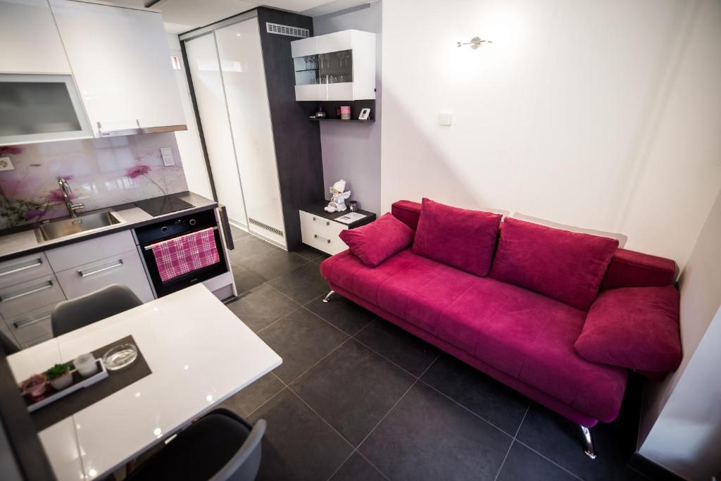 Kuchyň nebo kuchyňský kout v ubytování Golf apartment with SPA tickets discount