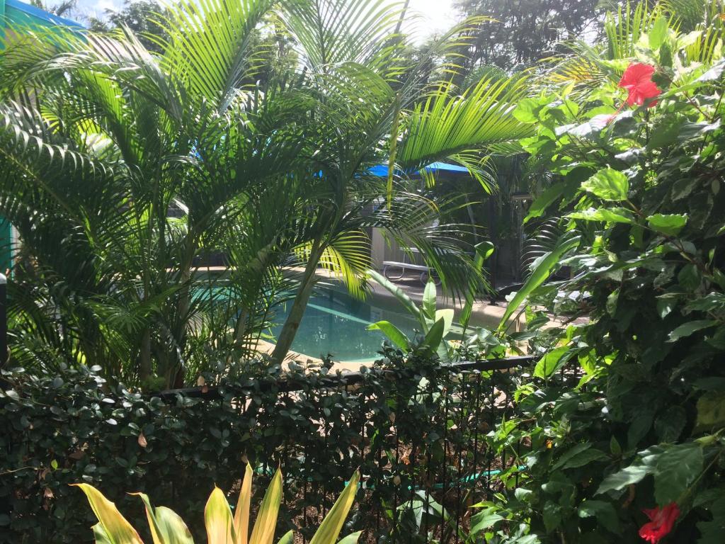 Bazén v ubytování Tropical Palms Resort & 4WD Hire nebo v jeho okolí