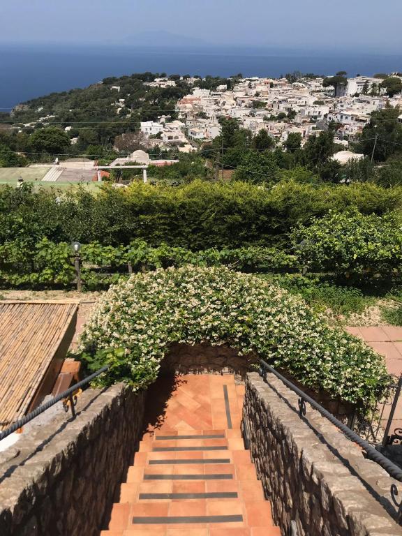 Φυσικό τοπίο κοντά σε αυτό το κατάλυμα σε φάρμα