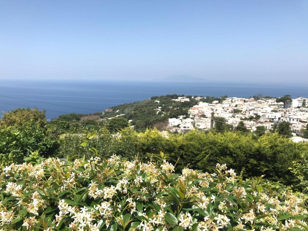Φυσικό τοπίο κοντά σε αυτό το κατάλυμα σε φάρμα