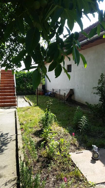 Zahrada ubytování Casa Carla-Maria