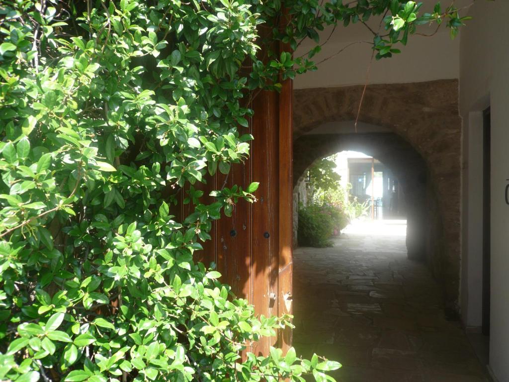 a hallway with an archway in a building with plants at Esperando in Maroni