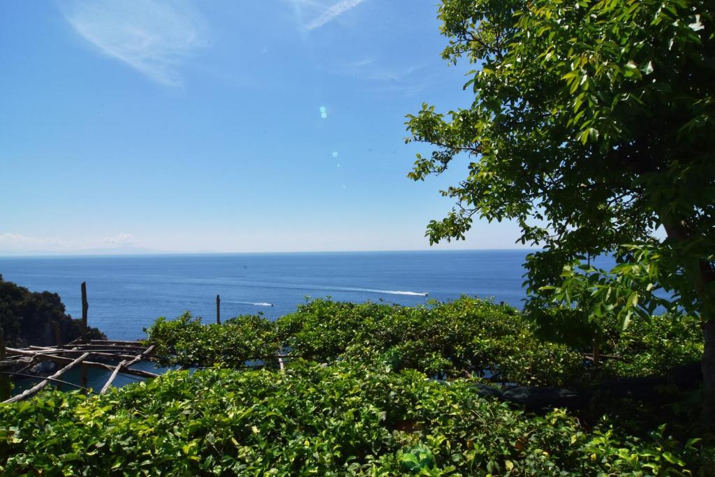 a view of the ocean from behind some trees at Bella Baia Relais in Maiori