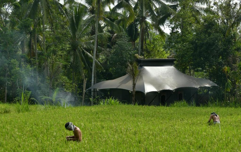 Capella Ubud, Bali photo 4