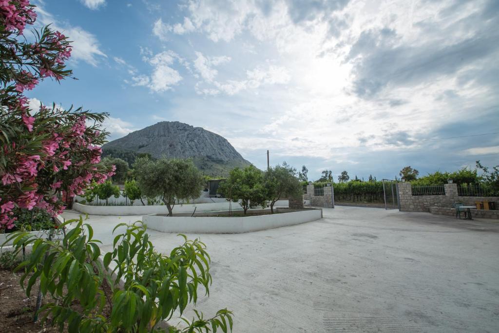 Acrocorinth Apartments - Studiowohnung
