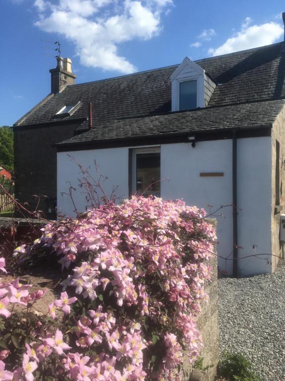a white garage with pink flowers in front of it at Whisky Cottage in Inverness