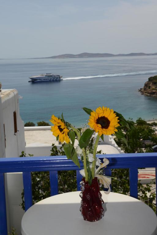 Jūros panorama iš svečių namų arba bendras jūros vaizdas