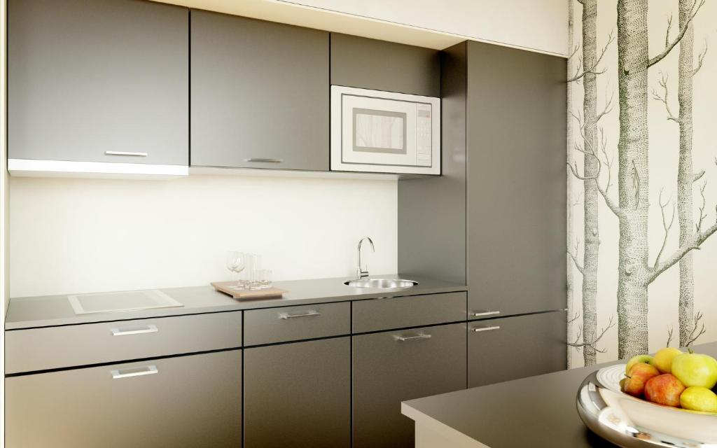 Kuchyň nebo kuchyňský kout v ubytování Apartmán Krásná Lípa č. 1