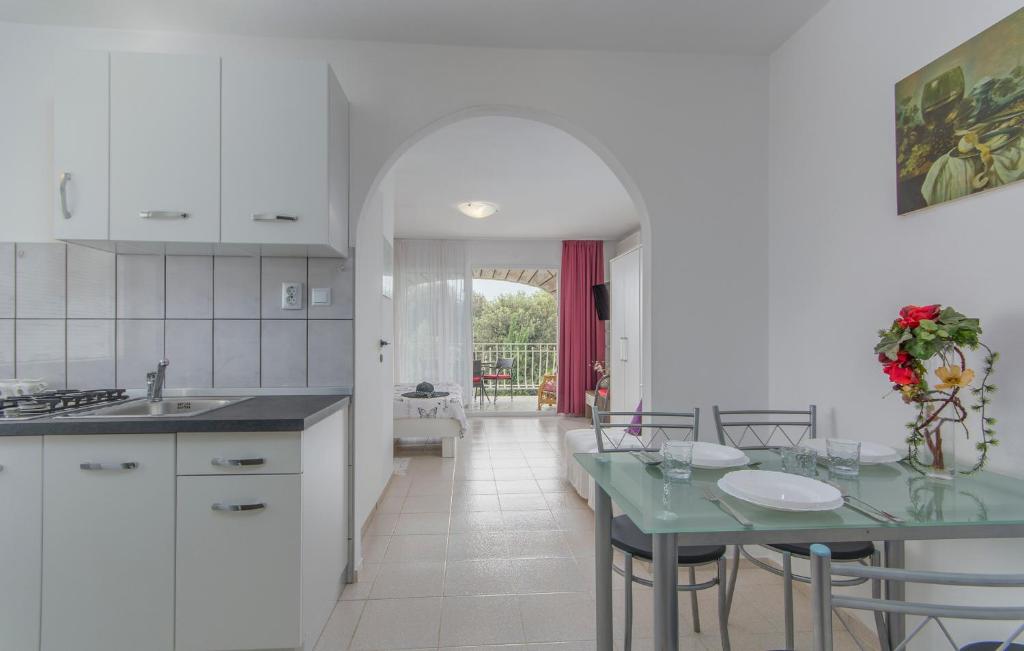 Kuchyň nebo kuchyňský kout v ubytování Apartments Ana - Rovinj