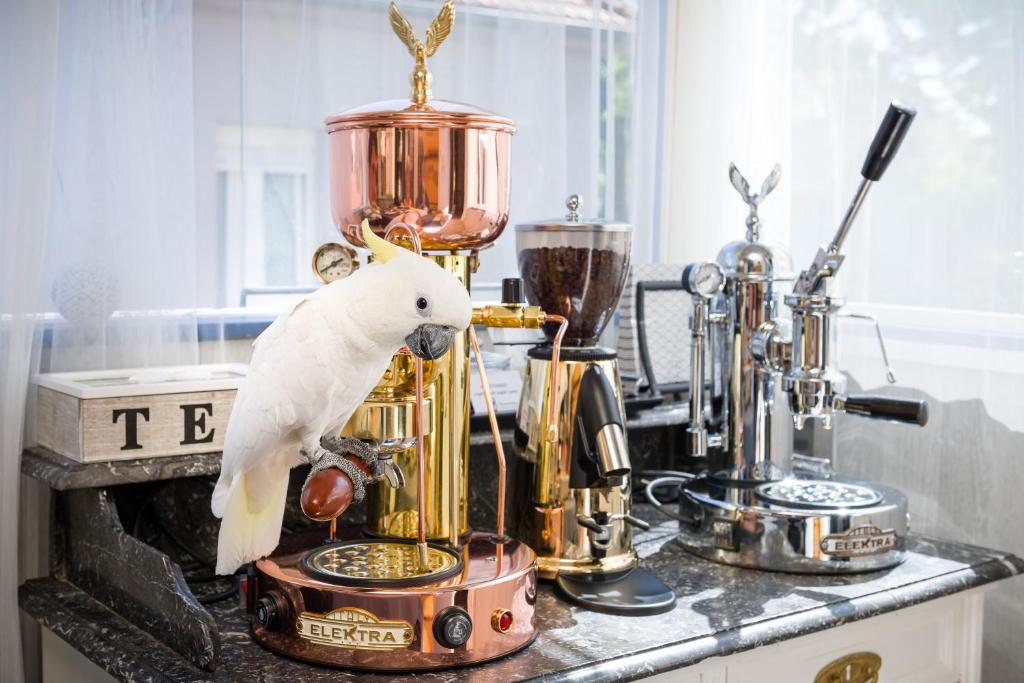 a white bird sitting on top of a blender at Anastasia Apartments & Rooms - Zagreb Centre in Zagreb