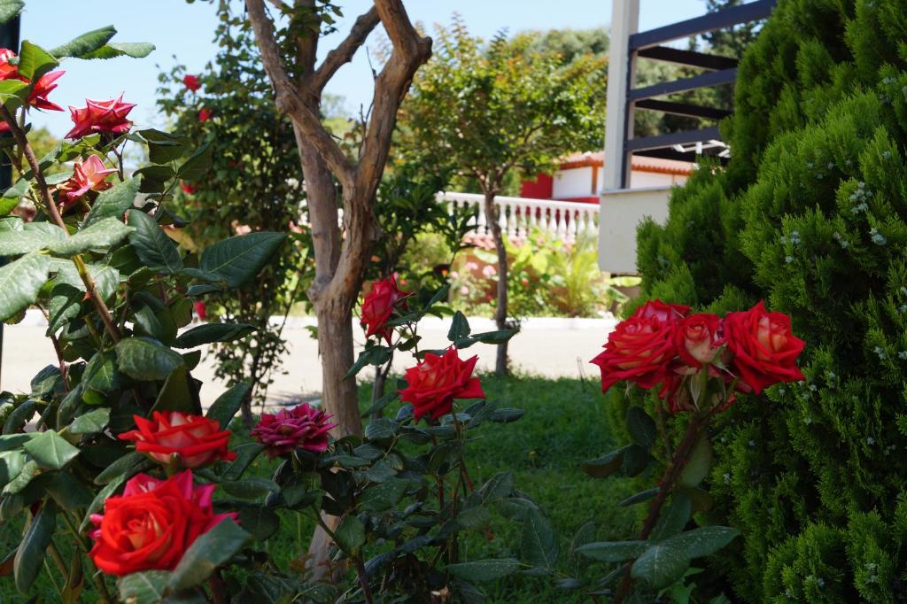 Zahrada ubytování Brati - Arcoudi Hotel