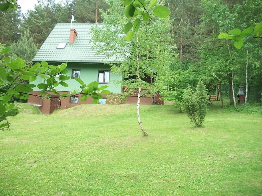 un pequeño árbol en un patio frente a una casa en Zielony domek, en Krasnobród