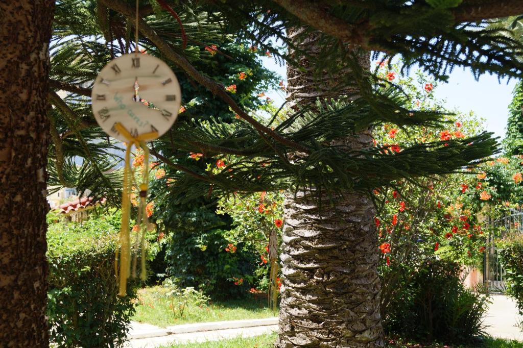 Zahrada ubytování Brati - Arcoudi Hotel
