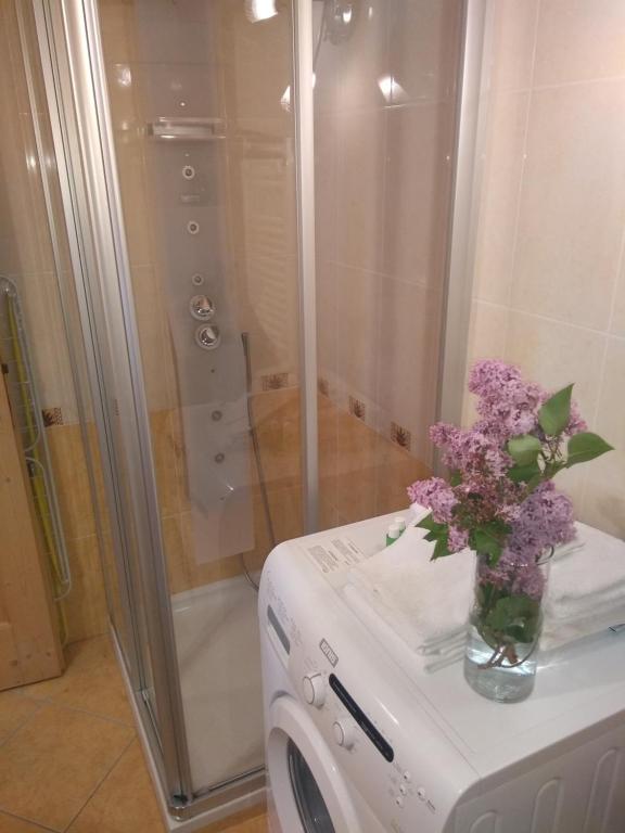 Koupelna v ubytování Cianbolpin Guesthouse