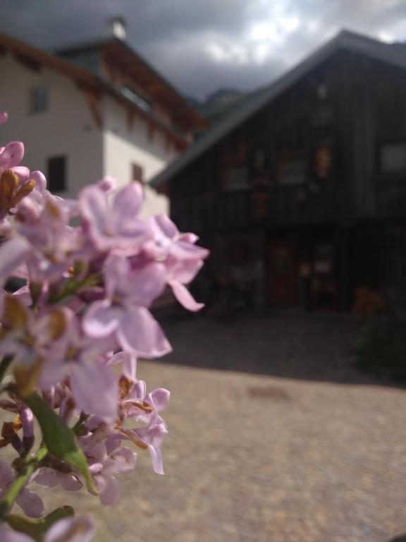 Fotografie z fotogalerie ubytování Cianbolpin Guesthouse v destinaci Canazei