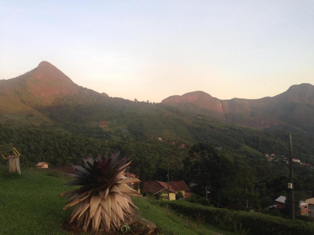  Canto dos Pássaros
