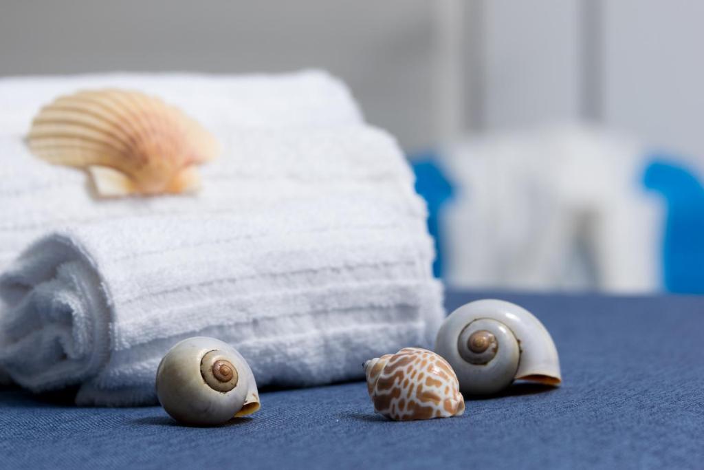 two seashells on the floor next to a folded towel at B&B Reset confort & relax in San Vito lo Capo