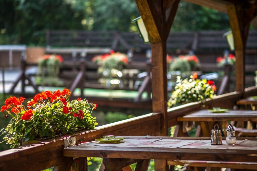 Vonkajšia záhrada v ubytovaní Patak Park Hotel Visegrád