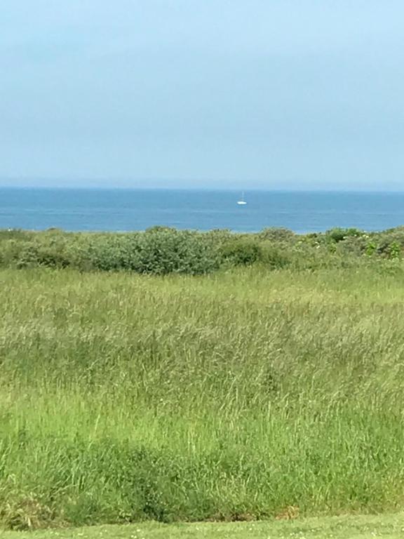 ヴィムルーにあるAppartement dans Résidence les Dunes du Golfの背景の高い草原