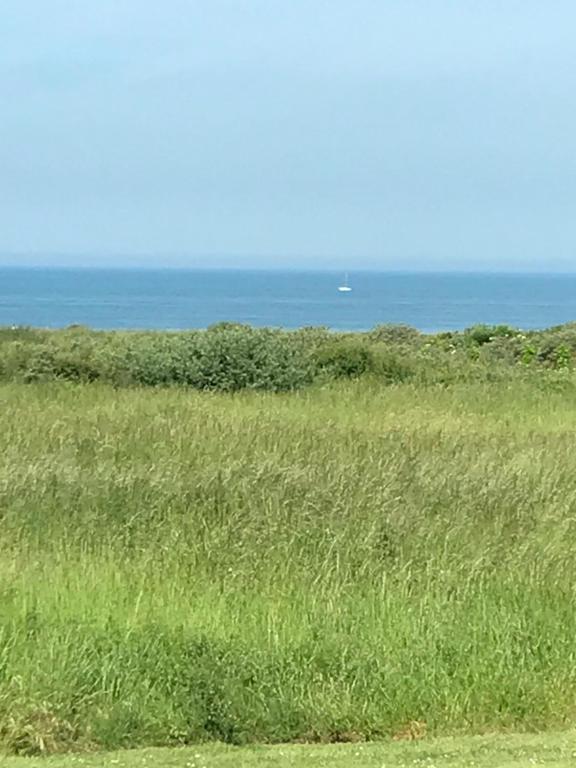 een veld van hoog gras met de oceaan op de achtergrond bij Appartement dans Résidence les Dunes du Golf in Wimereux