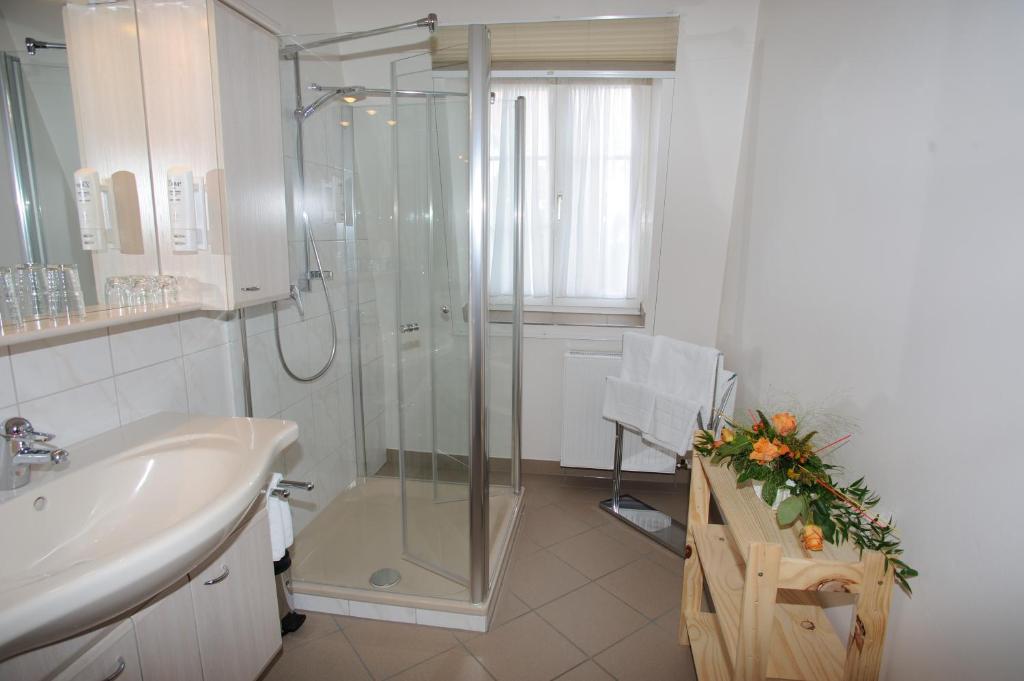 Hessischer Hof - Chambre Simple