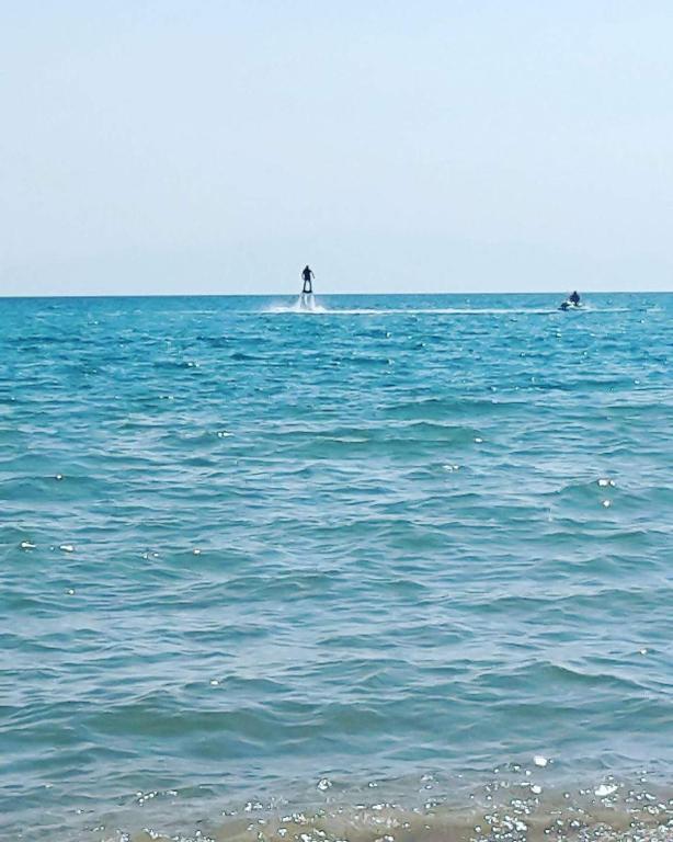 Lefter's Cottege - 度假屋