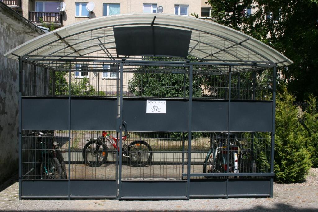 Jazda na bicykli v okolí ubytovania Grey & White Pogodne