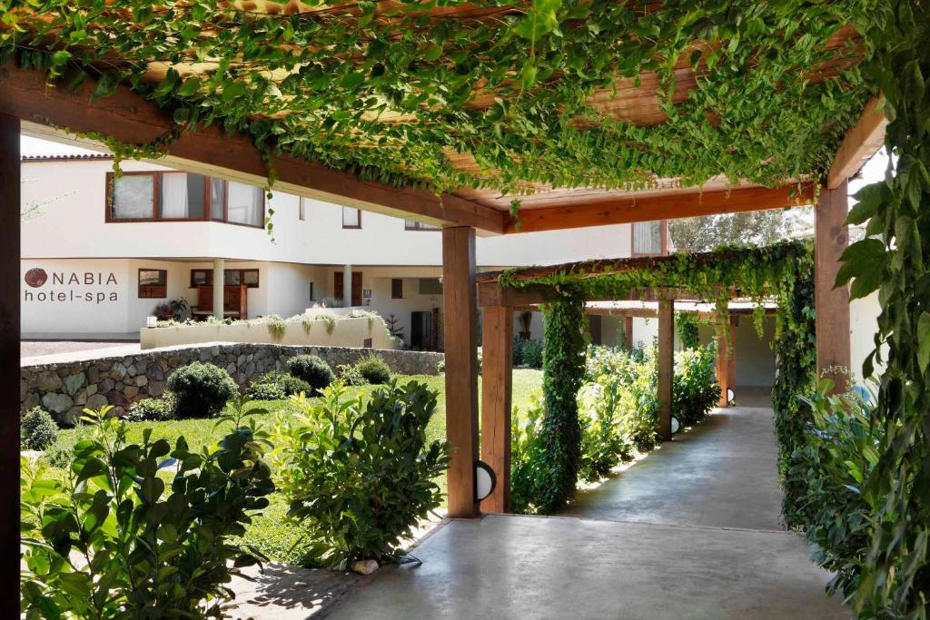Zahrada ubytování Hotel Nabia