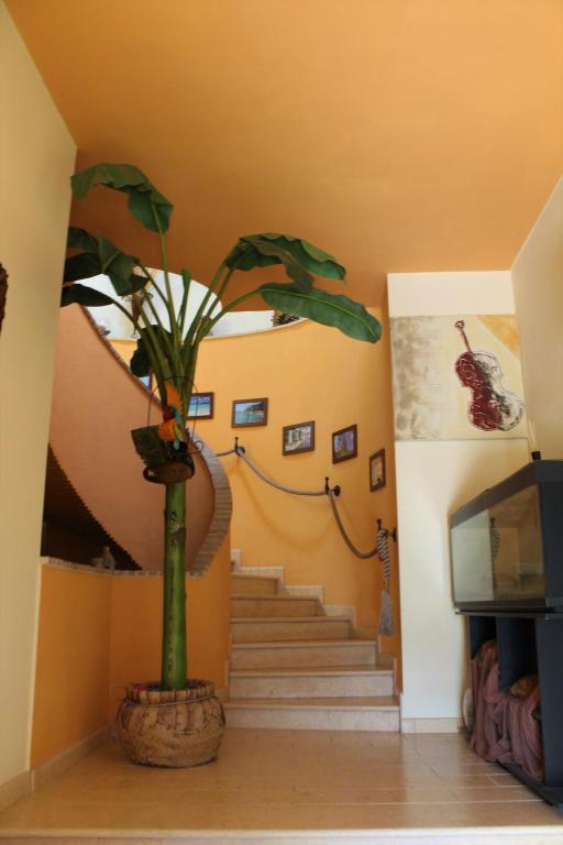 Fotografie z fotogalerie ubytování Antigua B&B v destinaci Porto Potenza Picena