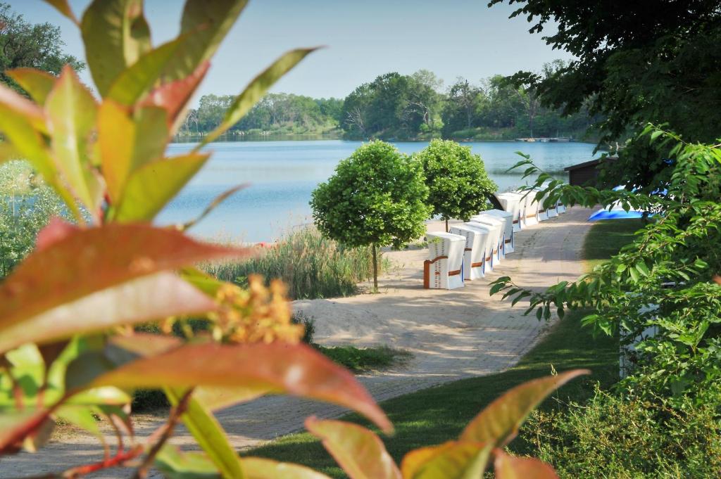 une passerelle à côté d'une masse d'eau dans l'établissement Bernstein Acamed Resort, à Nienburg