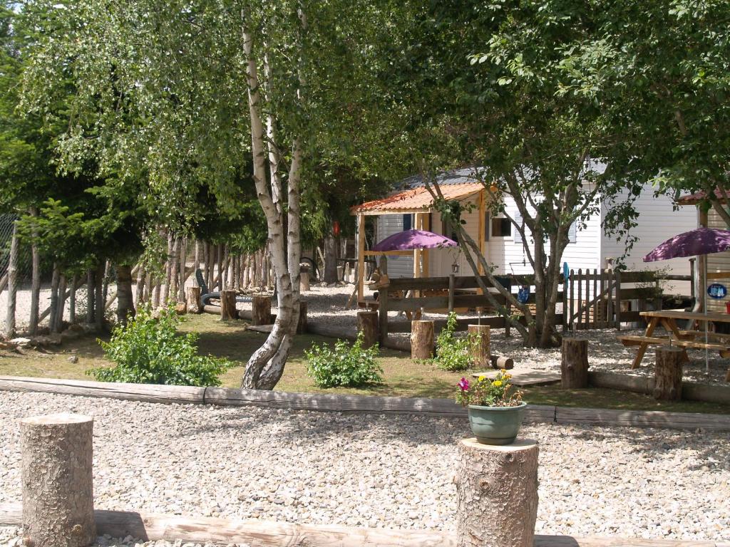Chasseradès的住宿－Le Sous Bois De Jade，公园里种有树木,摆放桌子,还有紫色的雨伞