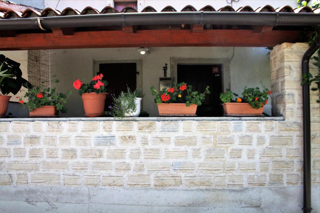 Fotografie z fotogalerie ubytování Apartman Monte Rudina v destinaci Motovun
