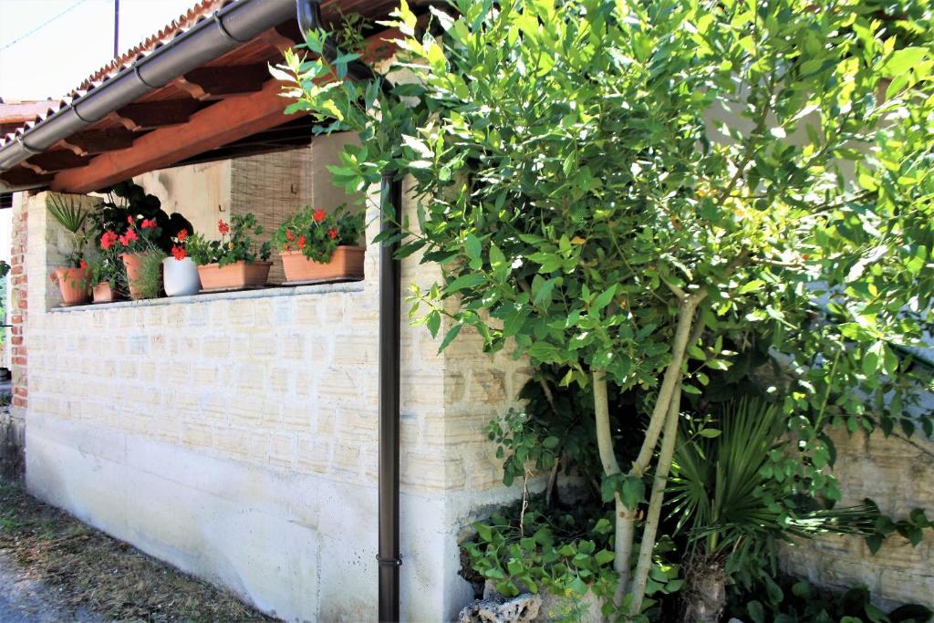 Fotografie z fotogalerie ubytování Apartman Monte Rudina v destinaci Motovun