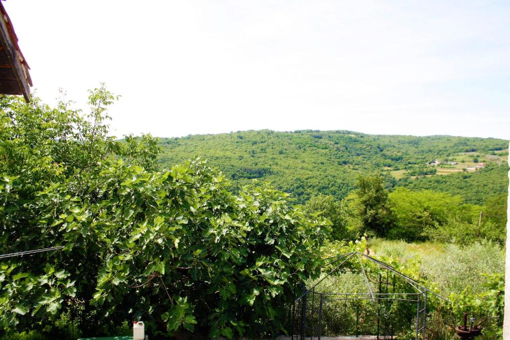 Fotografie z fotogalerie ubytování Apartman Monte Rudina v destinaci Motovun