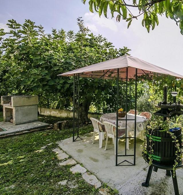 Fotografie z fotogalerie ubytování Apartman Monte Rudina v destinaci Motovun