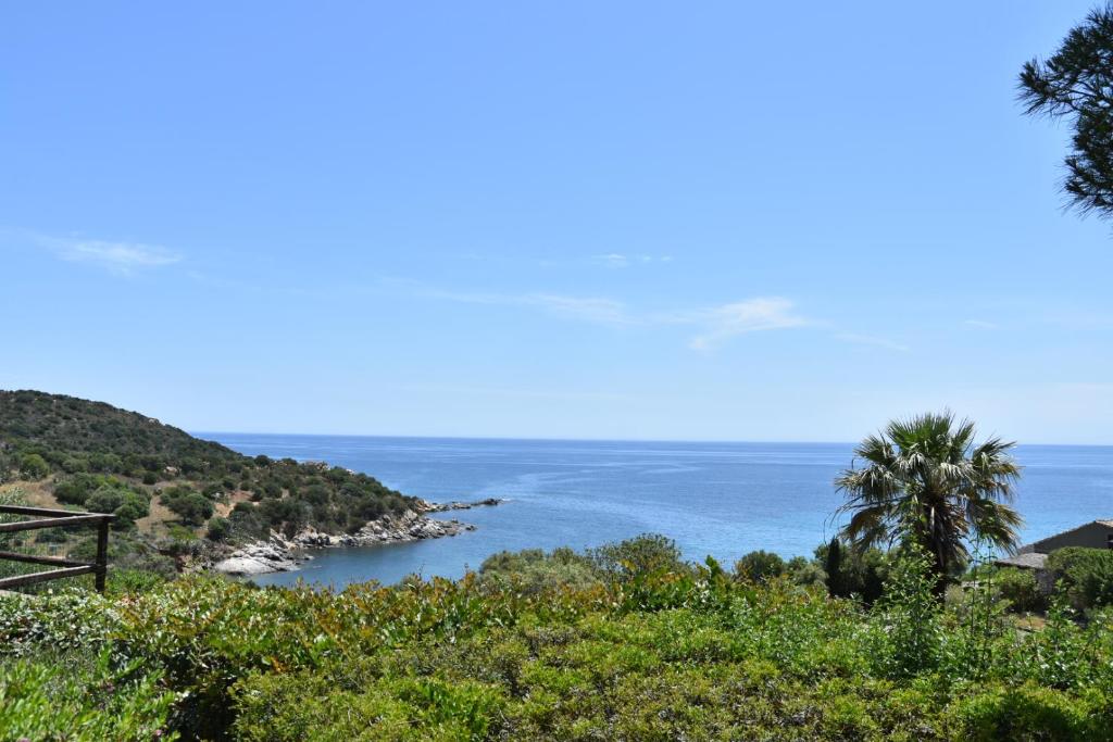 Táj Show holiday homes közelében