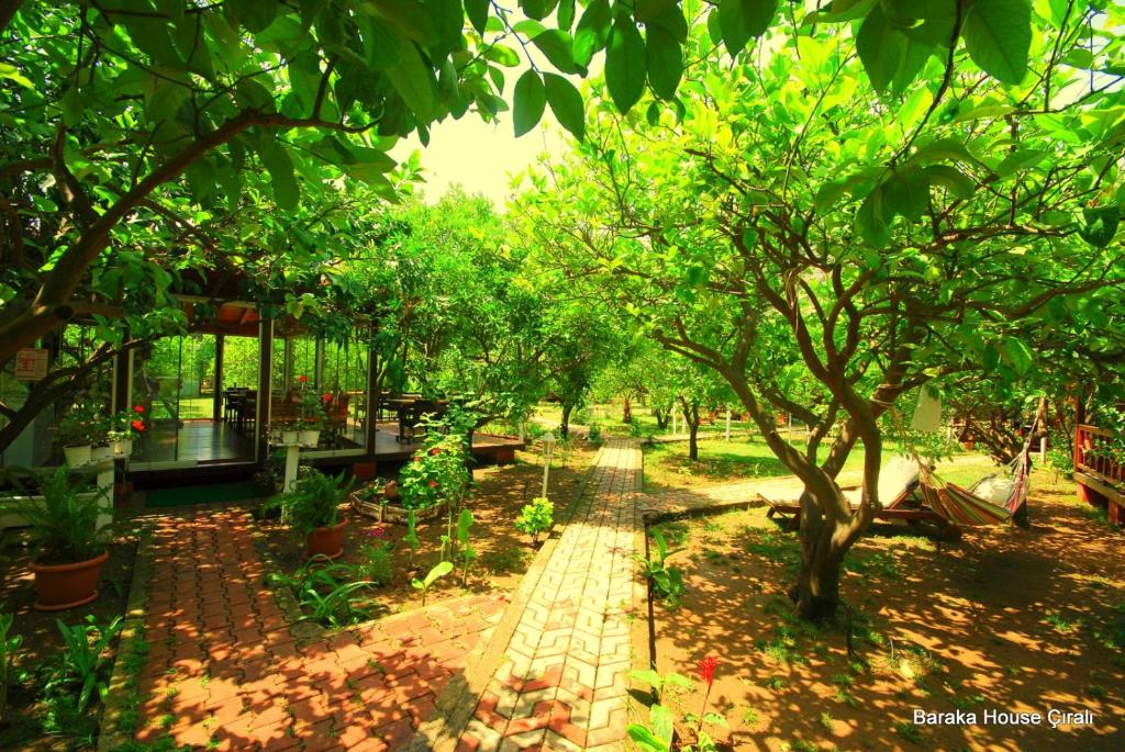 Fotografie z fotogalerie ubytování Baraka House v destinaci Çıralı