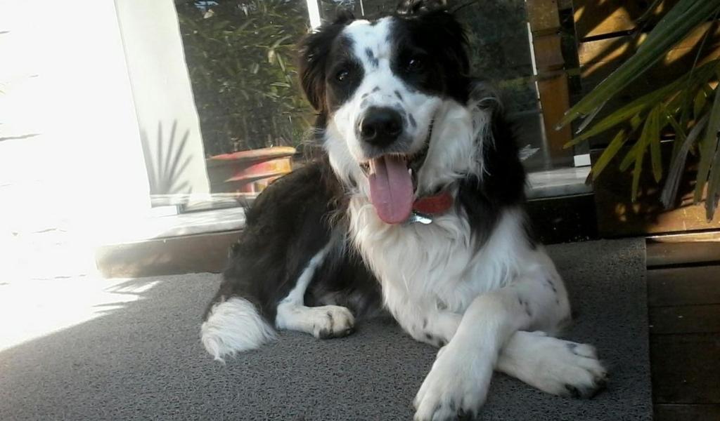  Hotel Pousada Rio Mar