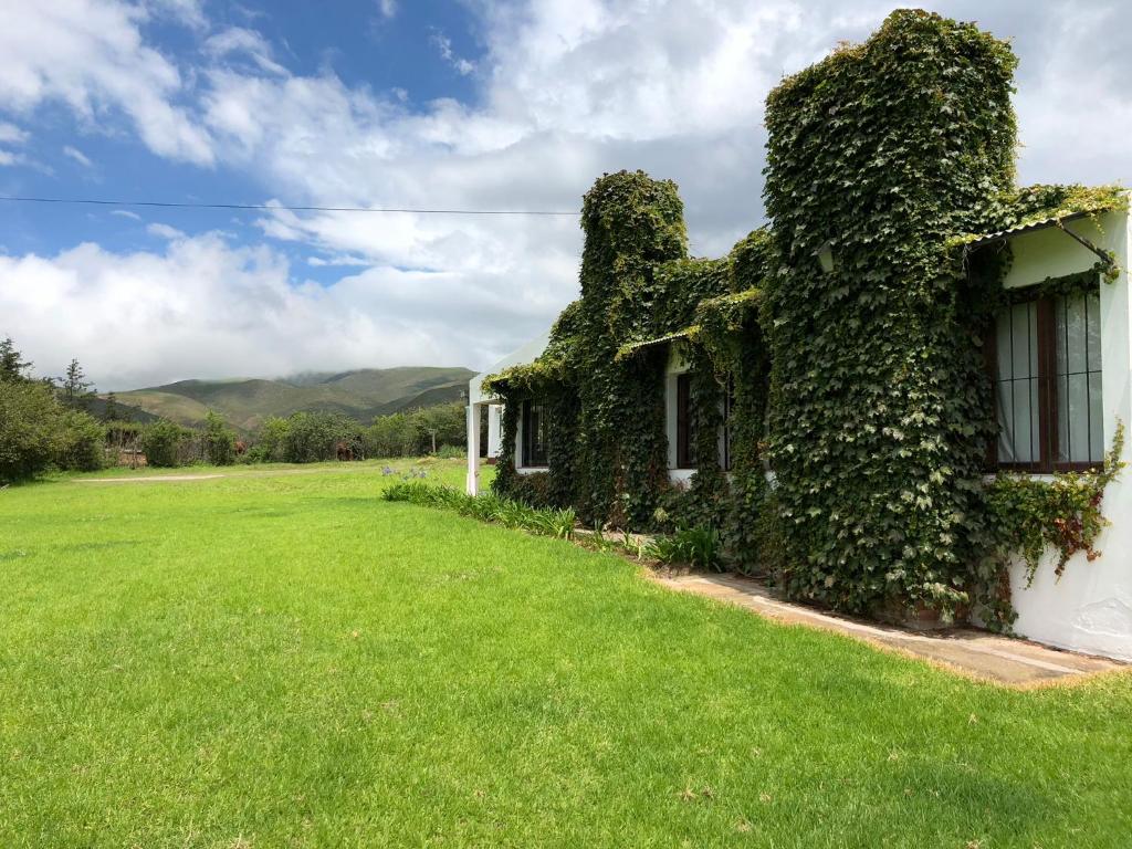 塔菲德爾瓦勒的住宿－Descanso Perfecto en Tafí del Valle，绿地上常春藤覆盖的房子