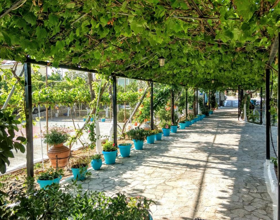Zahrada ubytování Evelin hotel