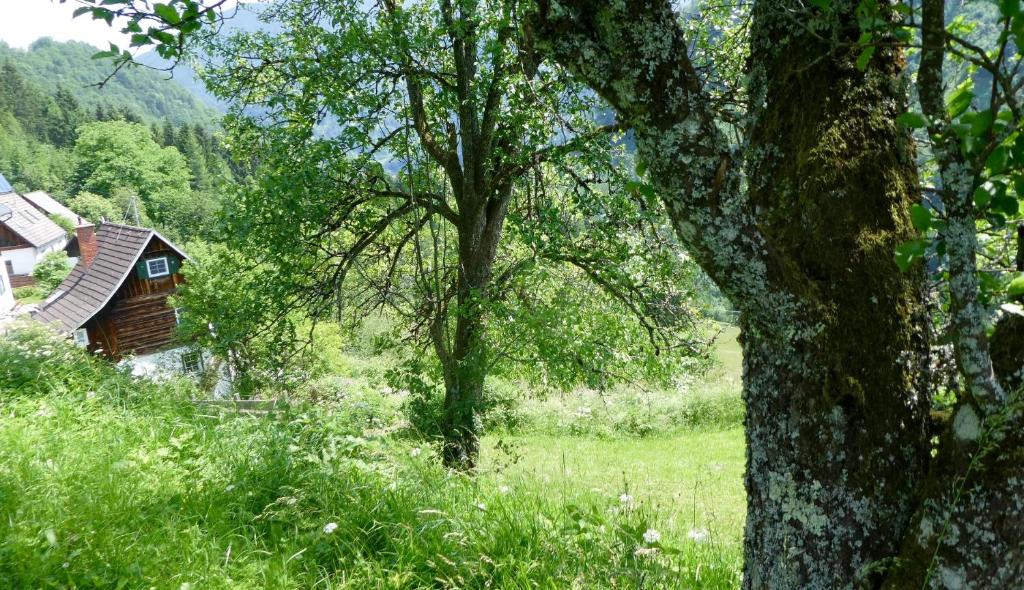 Príroda v okolí dovolenkového domu