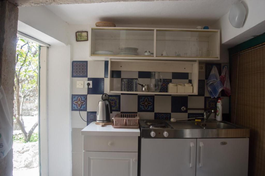 Kuchyň nebo kuchyňský kout v ubytování Apartments Subotic