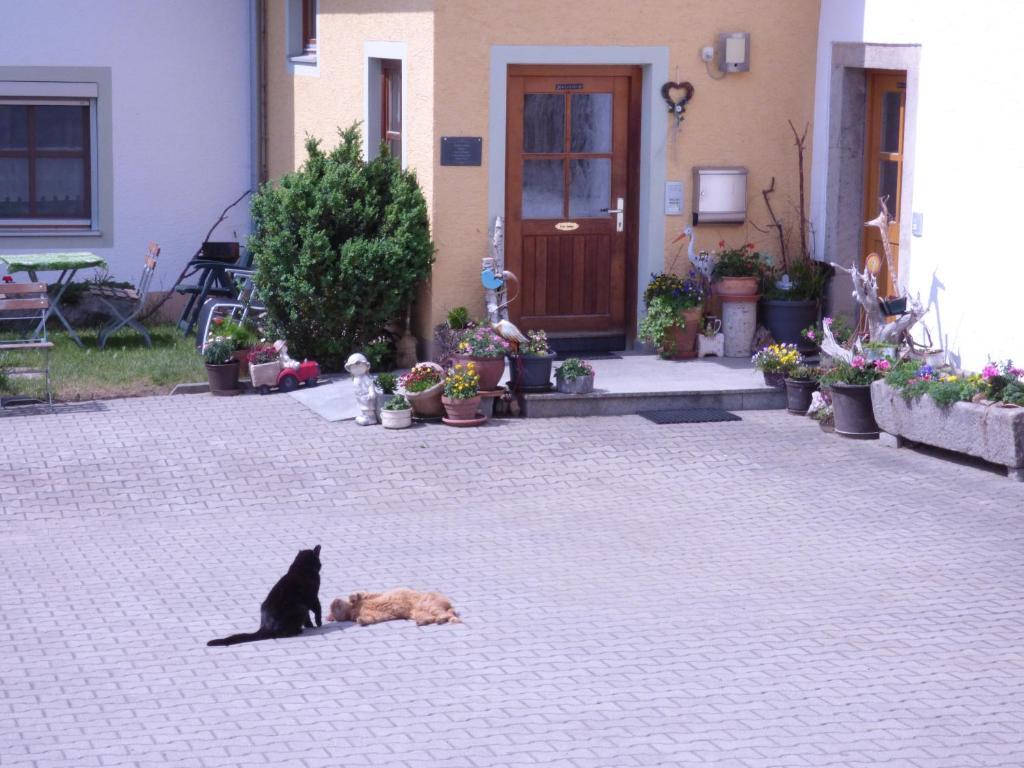 Domácí mazlíčci ubytovaní s hosty v ubytování Gillingerhof