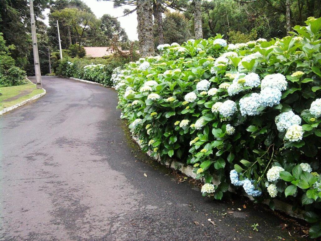 Chalé Vale do Bosque  Chalé Vale do Bosque