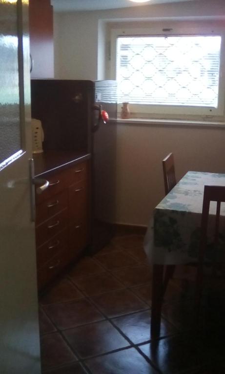 Kuchyň nebo kuchyňský kout v ubytování Apartma Pr' Vok
