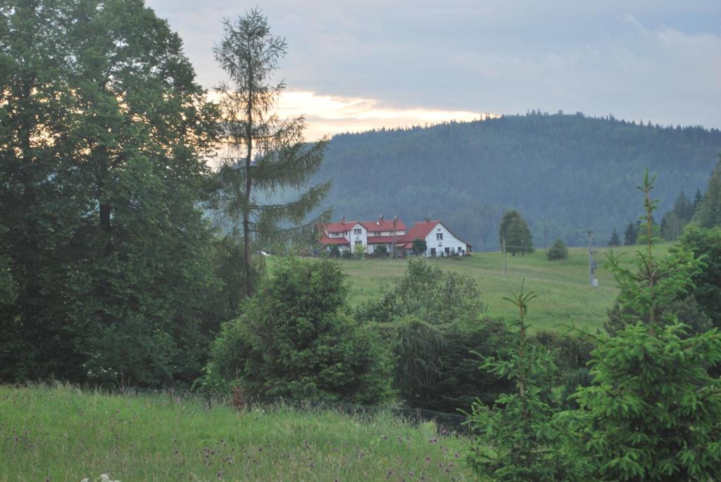 a house in the middle of a field with trees at Apartamenty Widokowa in Korbielów