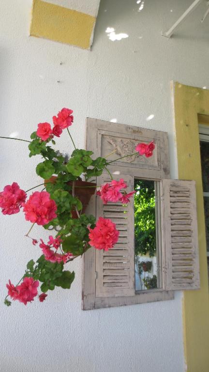 a mirror with red flowers in front of a window at A Casa do Lagar in Azeitao